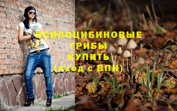 apvp Алексин