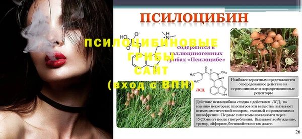 спайс Алексеевка