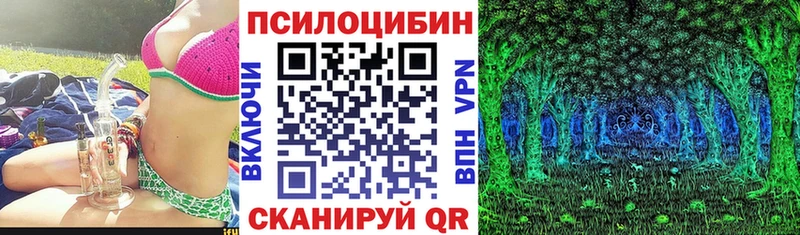 shop наркотические препараты Гусь-Хрустальный Галлюциногенные грибы Psilocybe