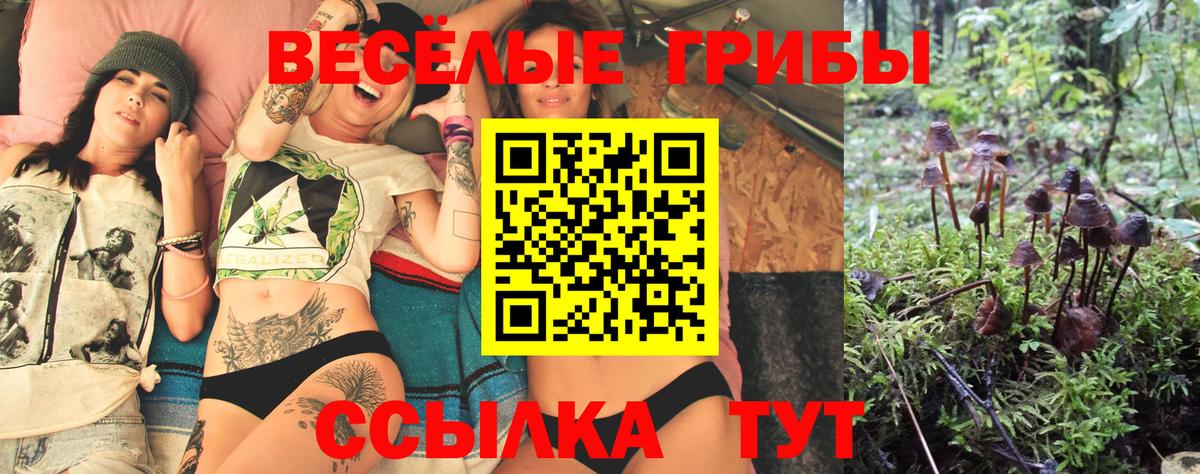 Галлюциногенные грибы Magic Shrooms Гусь-Хрустальный