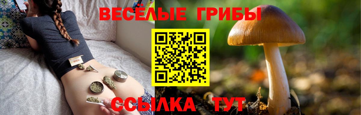 Гусь-Хрустальный  Галлюциногенные грибы Psilocybine cubensis  Вход с VPN  купить наркотик  Псилоцибиновые грибы Cubensis 